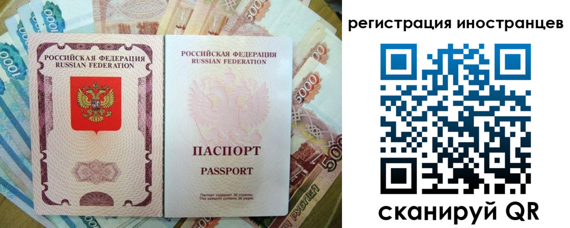 пропишу в квартире в Мурманской области